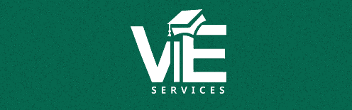 VIE Logo